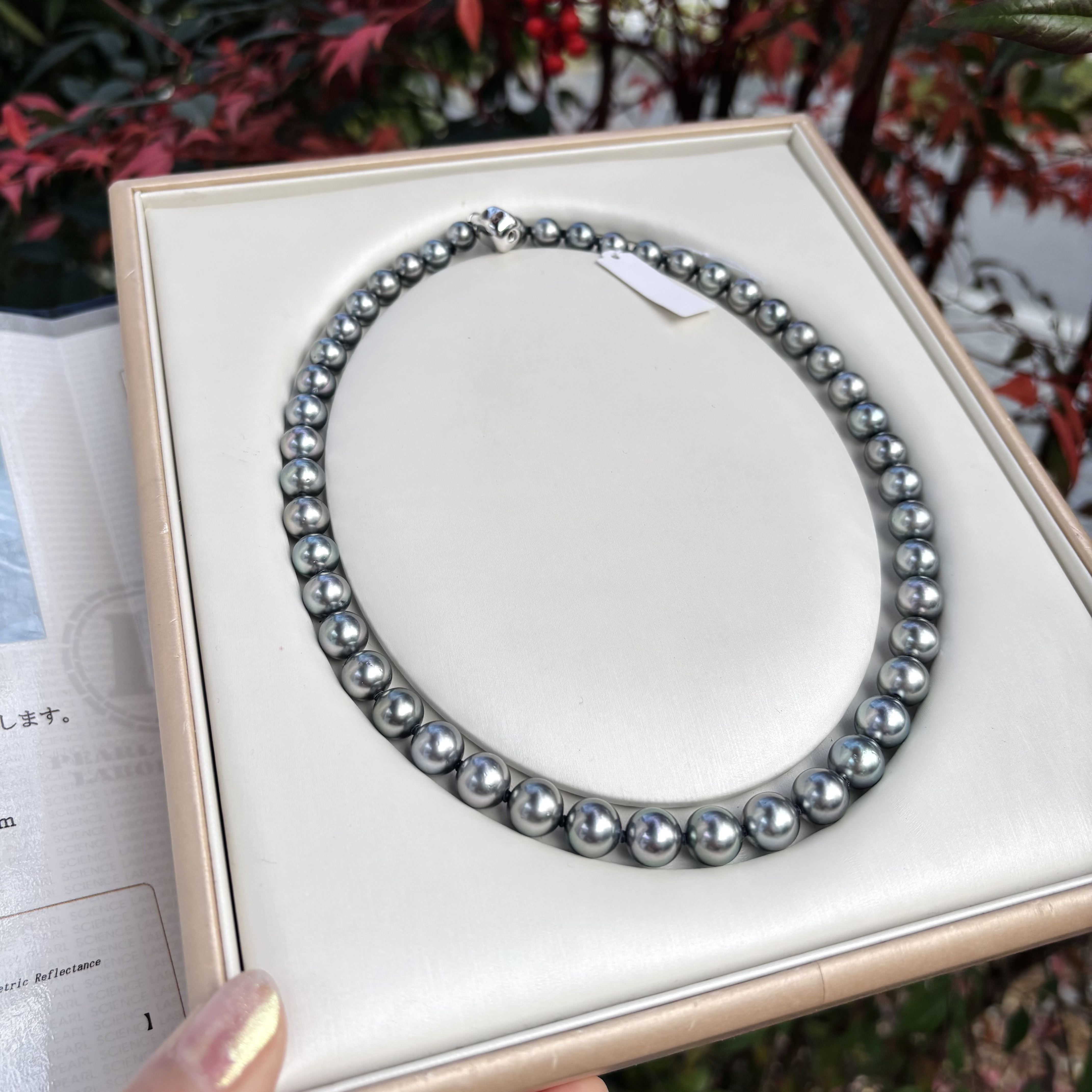 欧若风珠宝 大溪地铂金灰项链 （带SK证）7-10mm S925银 