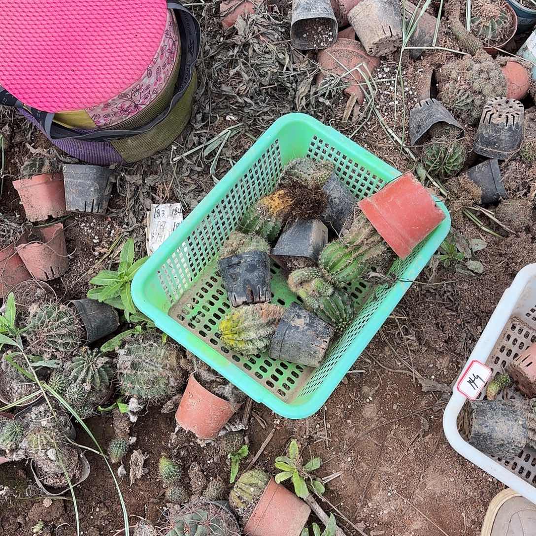 150 号瑕疵瘦无售后