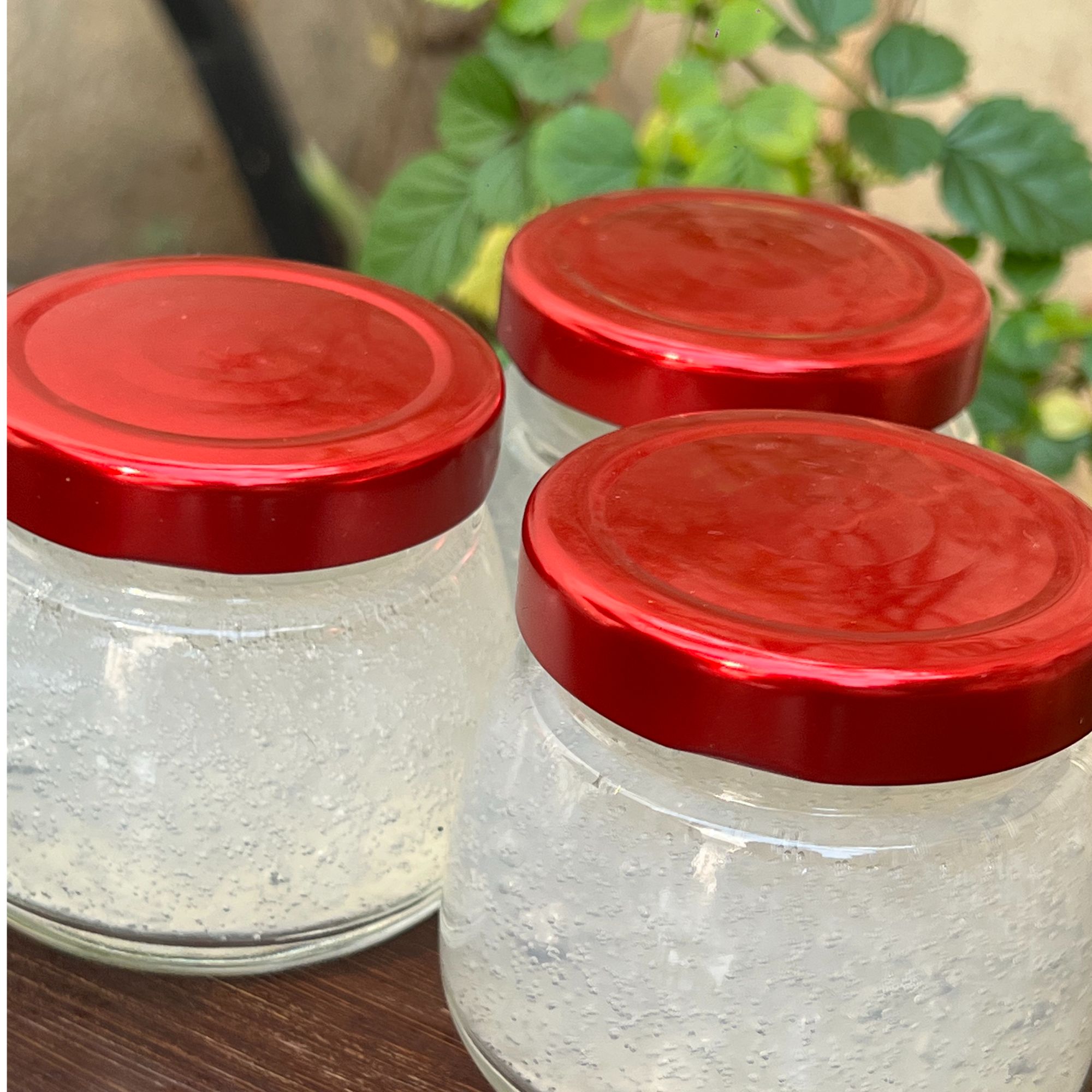 改价链接，足干，OV百合，百合盏