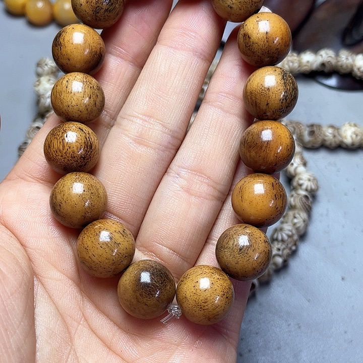 大果紫檀（缅甸花梨）