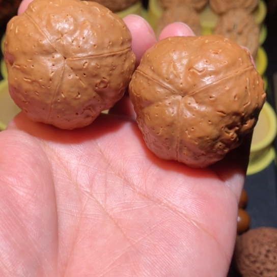文玩核桃把件南瓜金刚菩提