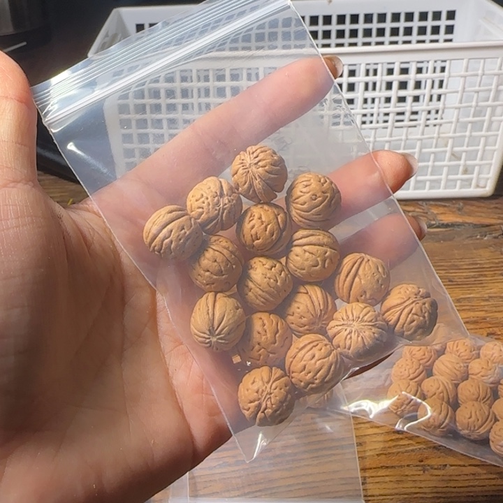 沉***驴桃核吊坠盘锦批量