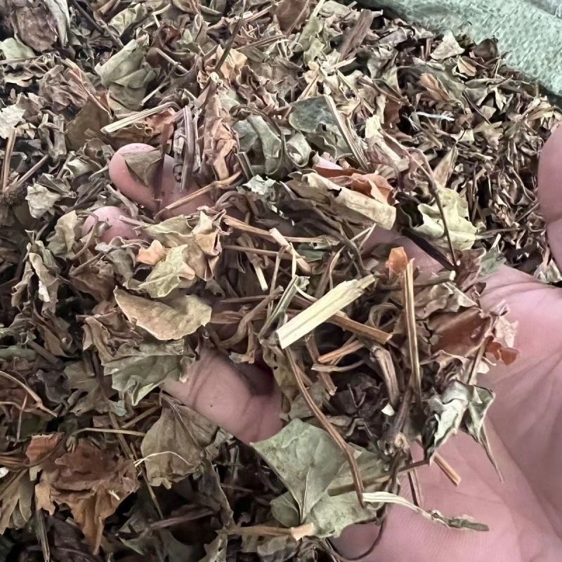 农家自制 干鱼腥草（散装 介意慎拍）