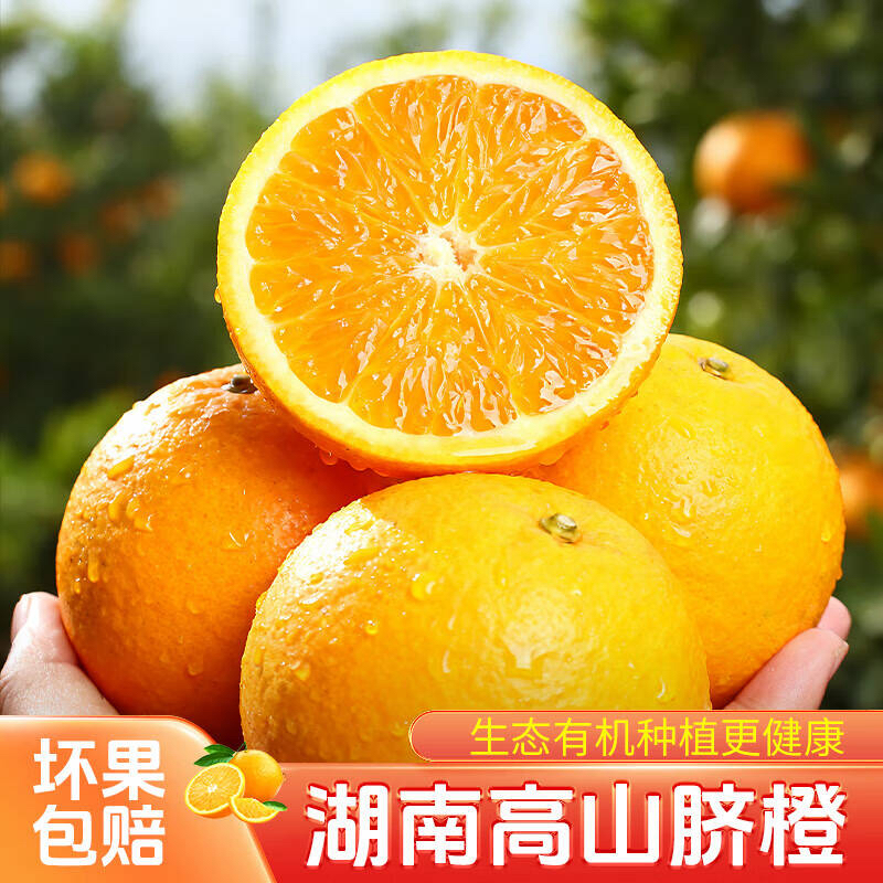 湖南纽荷尔脐橙产地直发新鲜大果香甜 带箱9斤