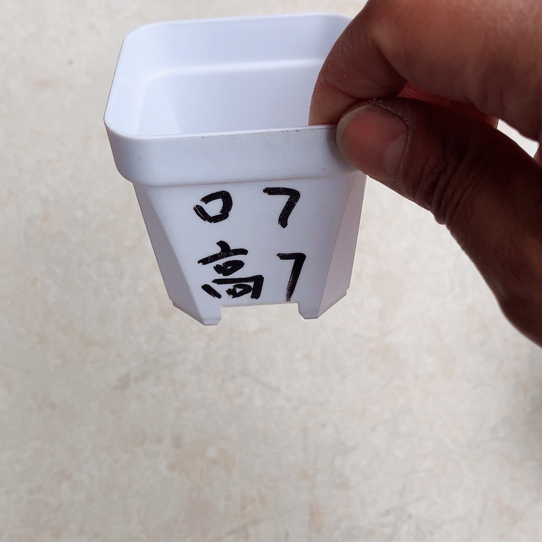 塑料加厚矮胖7方白色盆30个无托