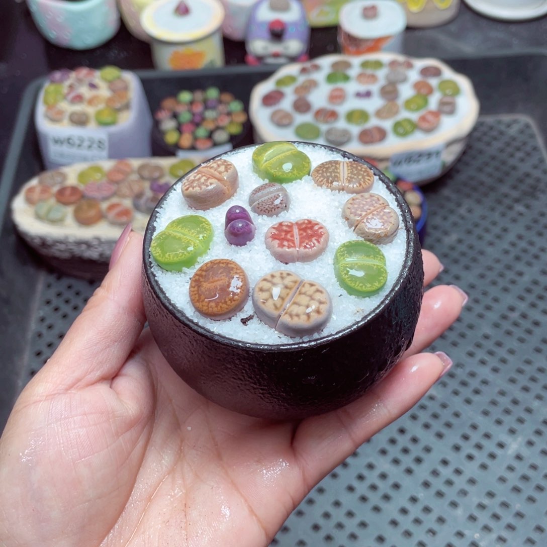 w6234 -零下地区保温箱-15支持寄养