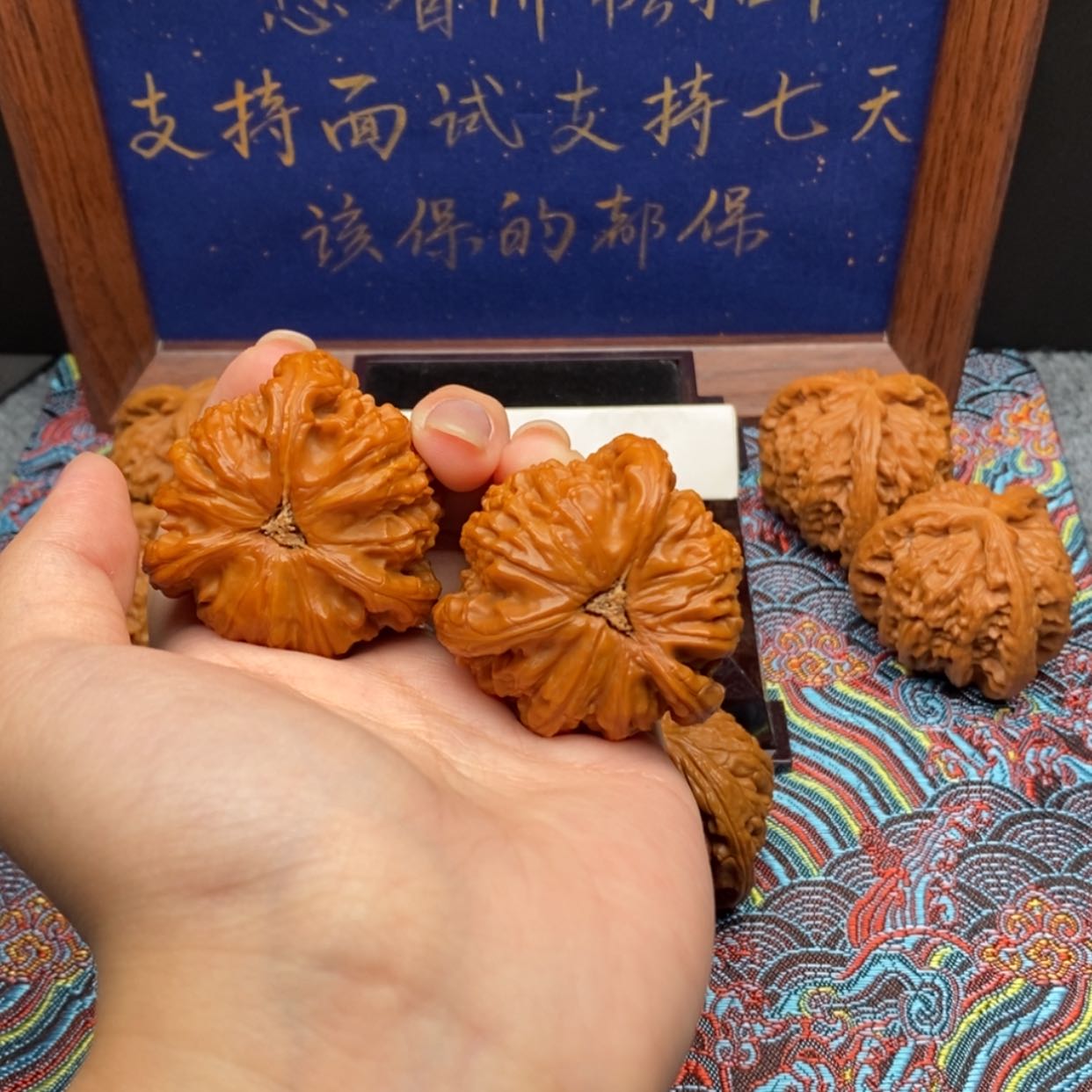 【闪购商品】?*白狮