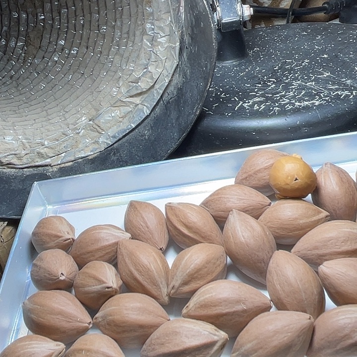 半***丘手串/手链橄榄核橄榄核原料