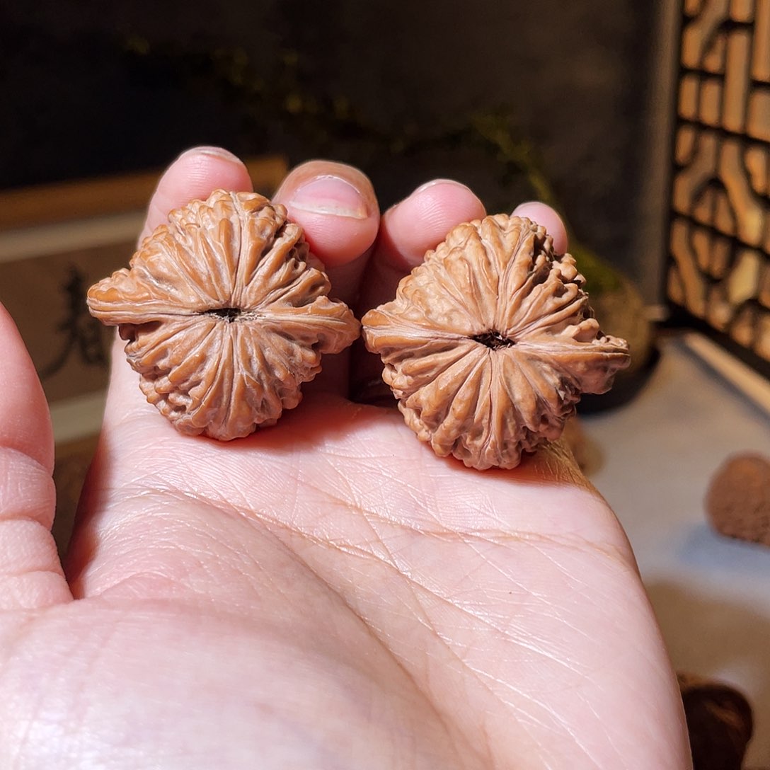 核桃手串/手链格*芬38汉高楼全品无修