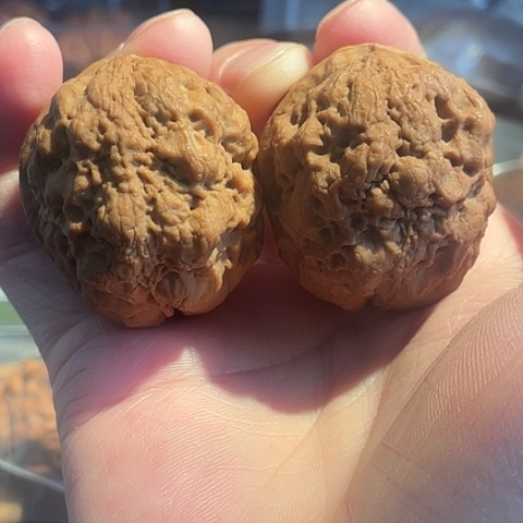 把件文玩核桃老疙瘩带彩40