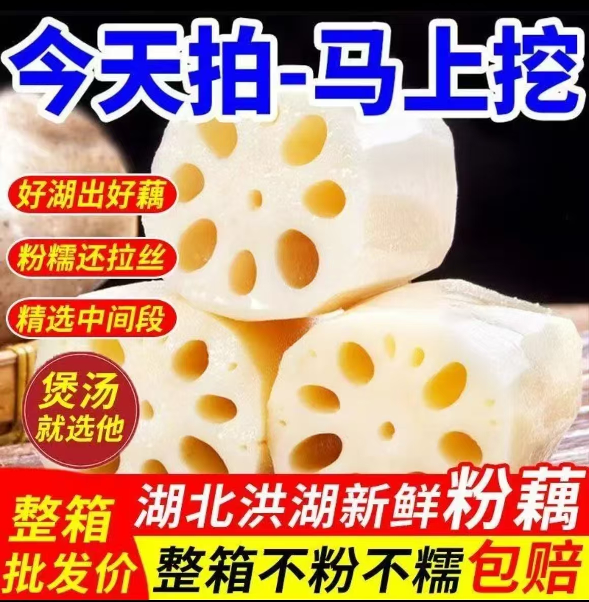 【煲汤粉藕】正宗湖北洪湖粉藕九孔粉藕红藕现挖带泥现发煲汤专用