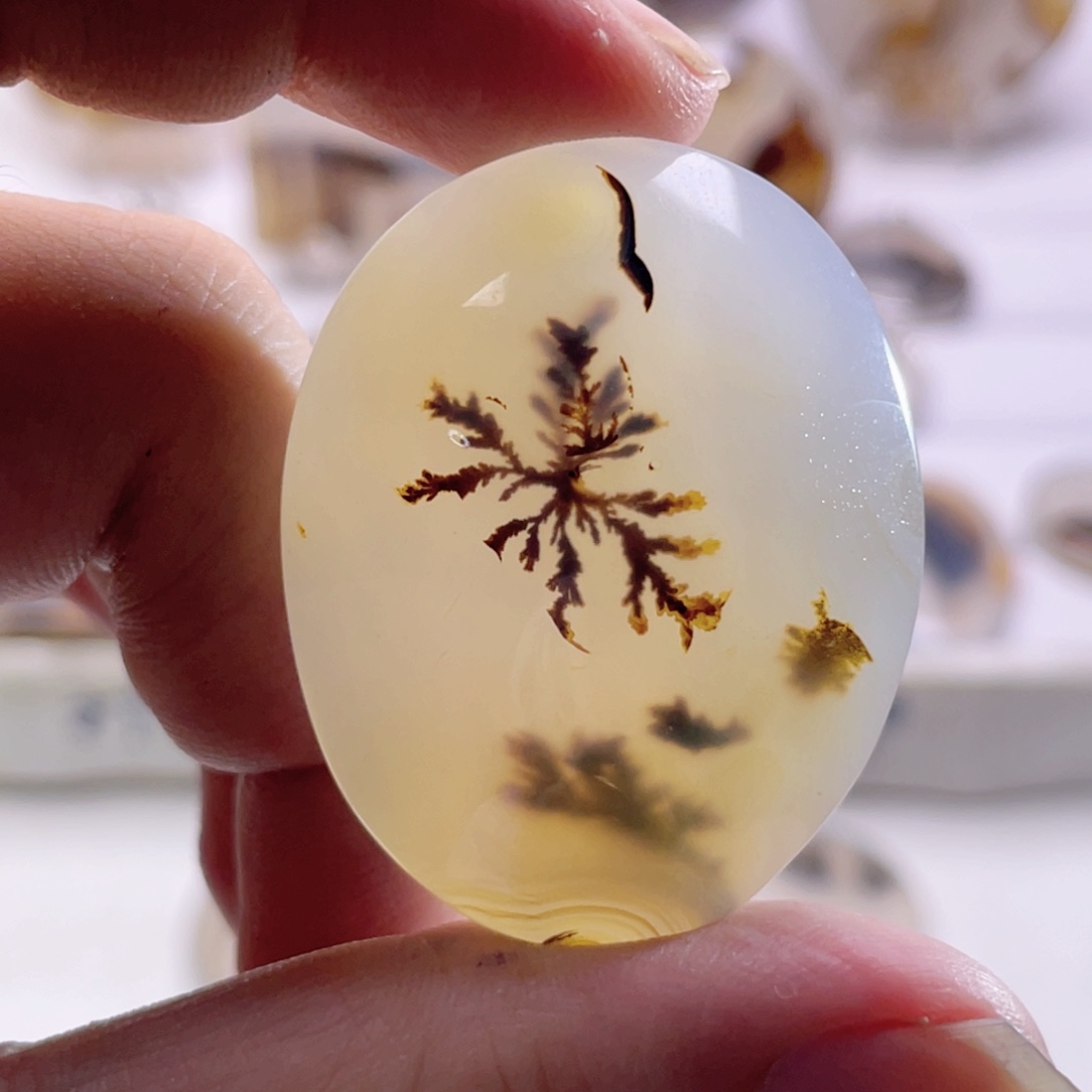 玛瑙/玉髓未镶嵌珠宝奇石