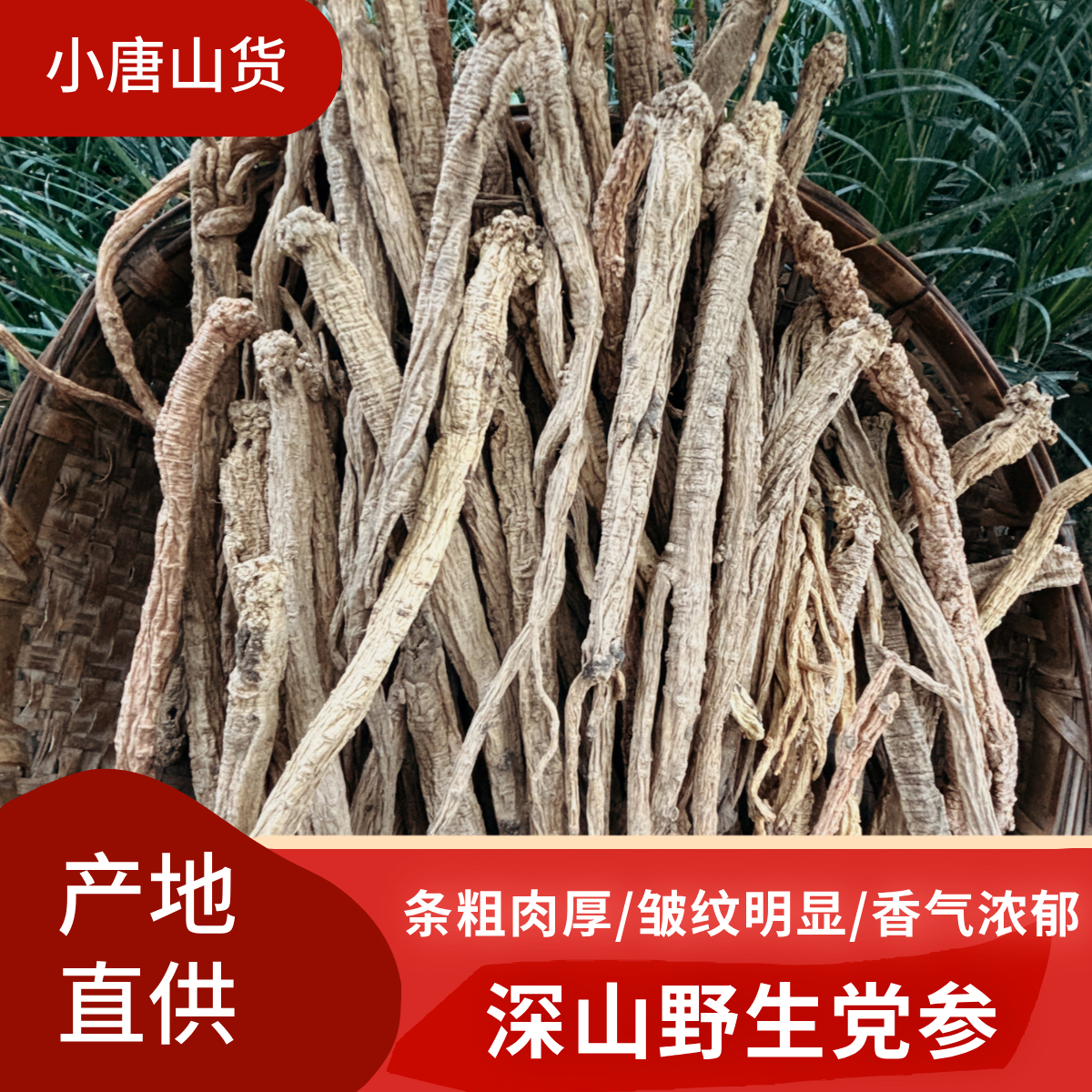 甘肃野生老党参无硫无熏