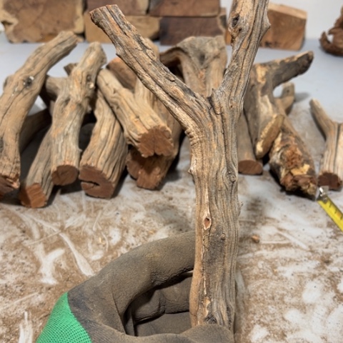 大果紫檀（缅甸花梨）邓