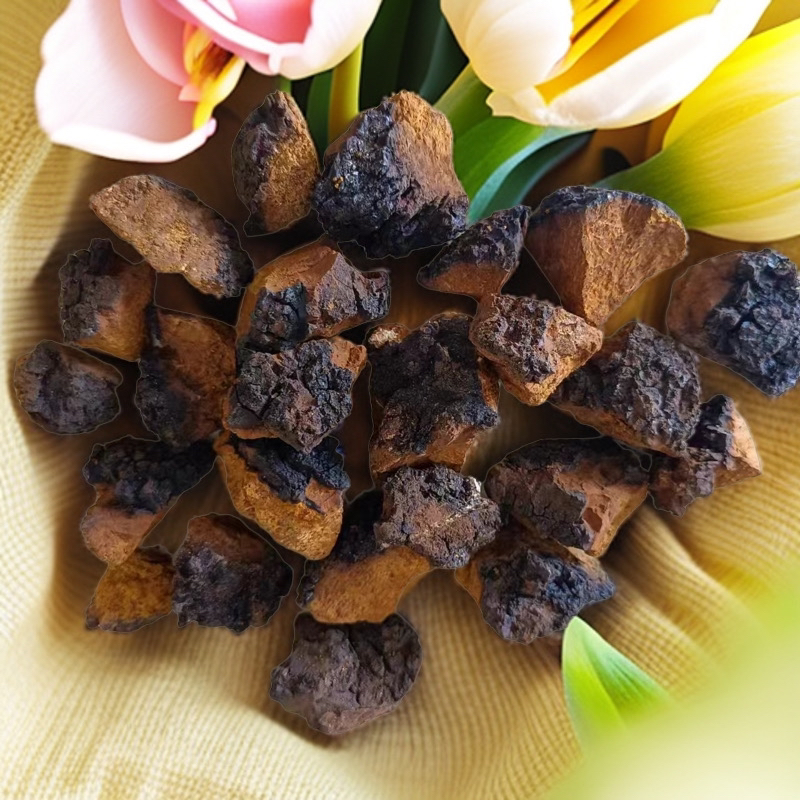 小阿陈推荐深山桦树茸快(500克)