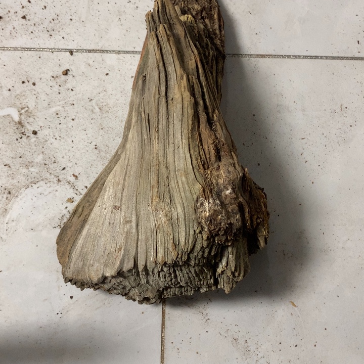 少***）无花朵今天晚上在学校吃饭