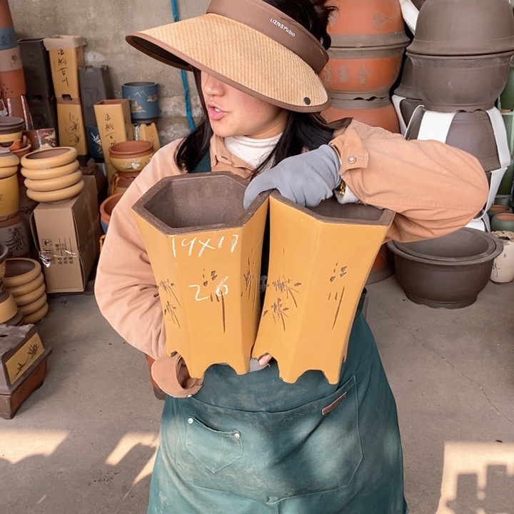 紫砂花盆盆栽花卉苗木种植