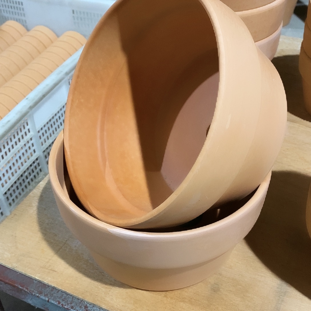 红陶20×11-2       