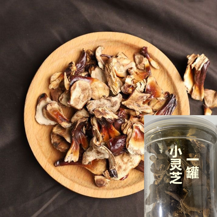 小灵芝 一罐 煲汤 