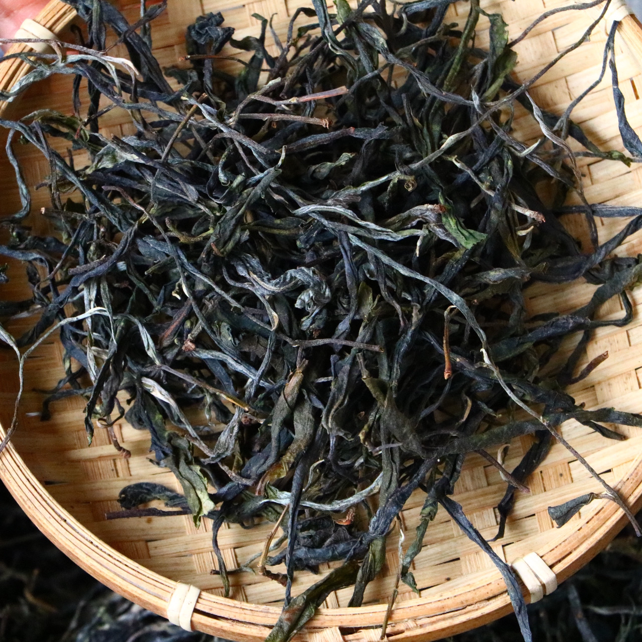 2024年昔归-绿水潭混采生茶散茶 普洱春茶 包邮