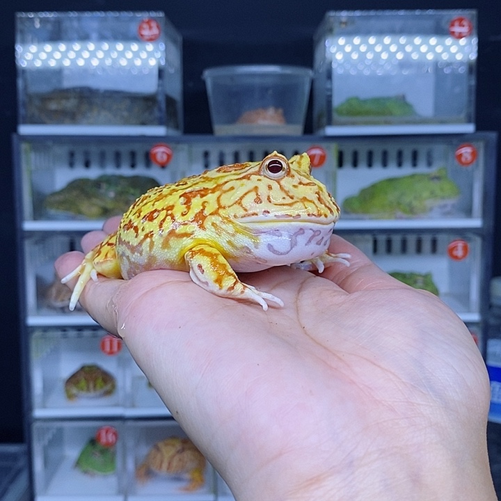特价秒杀现货特价
