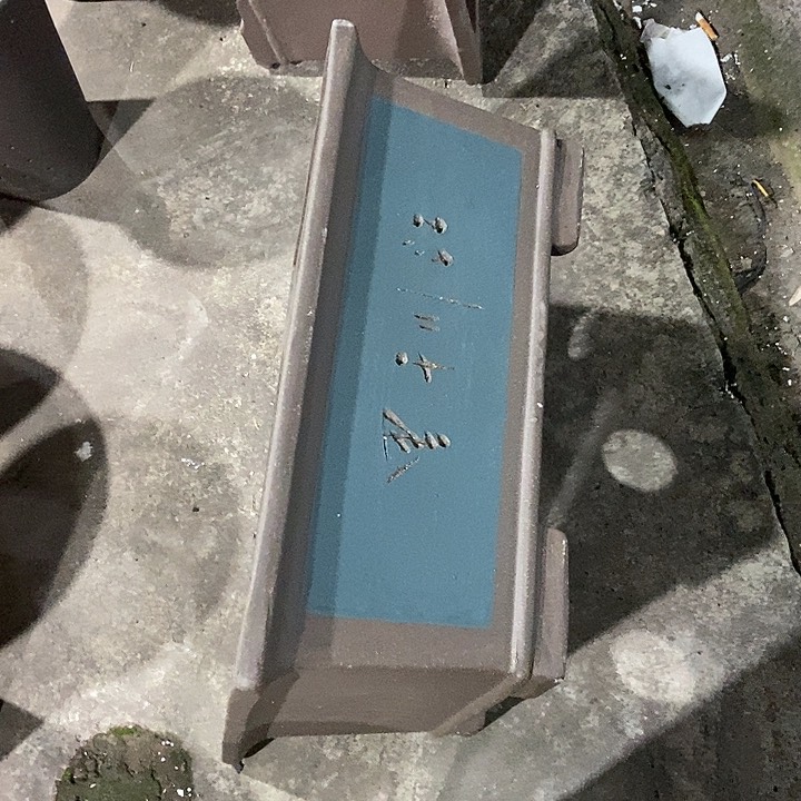 50花盆花盆花盆花盆花盆花盆花盆