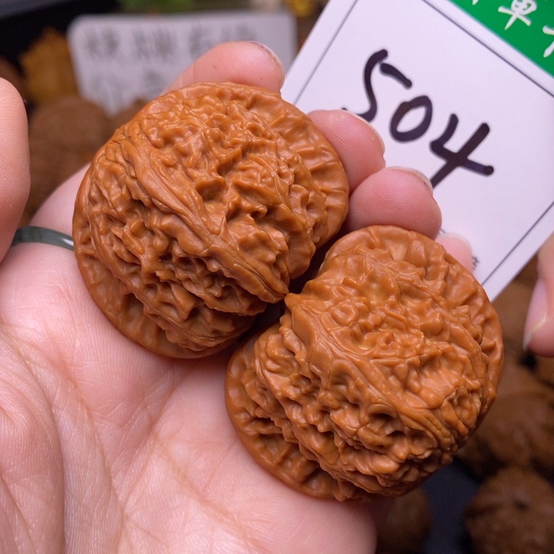 把件文玩核桃504白狮子4.1