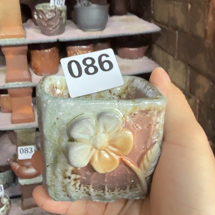 盘陶柴烧福利洗片多多