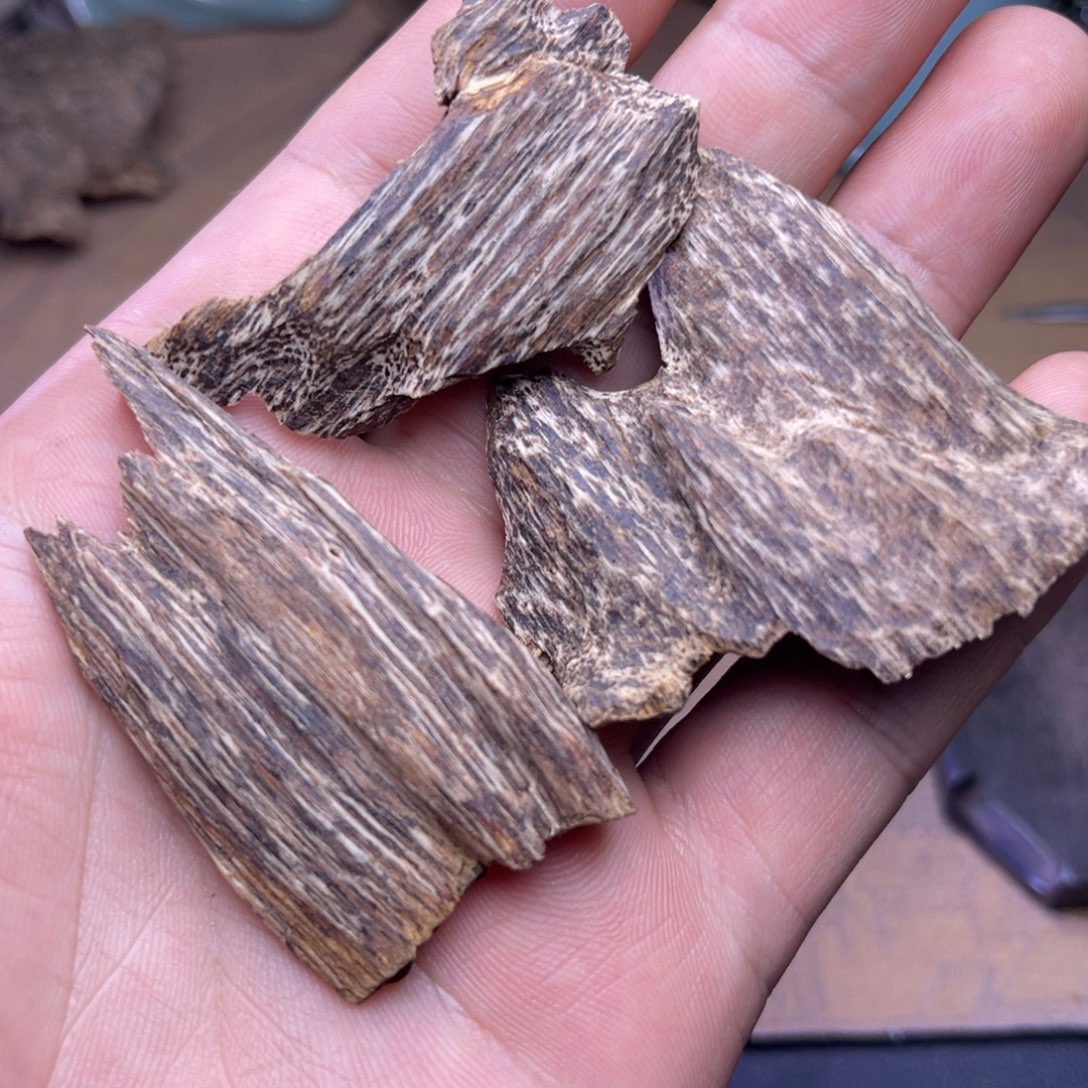 沉香碎屑沉香海南五指山天然虫漏料9.1克