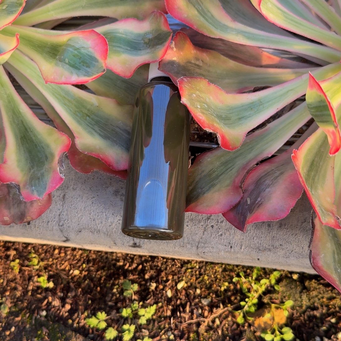 L***p营养液3瓶。多肉植物