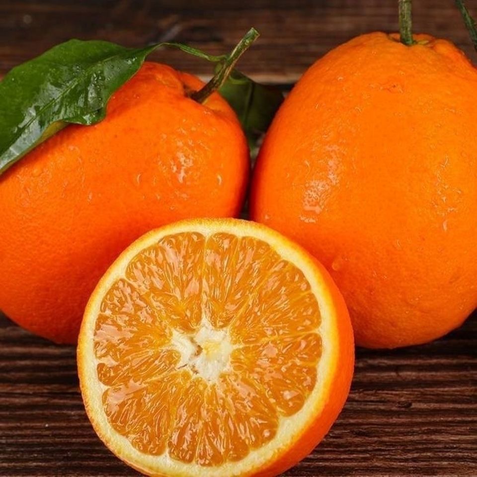新鲜采摘赣南脐橙不带叶发货产地直供次日送达5斤箱装不带叶发货