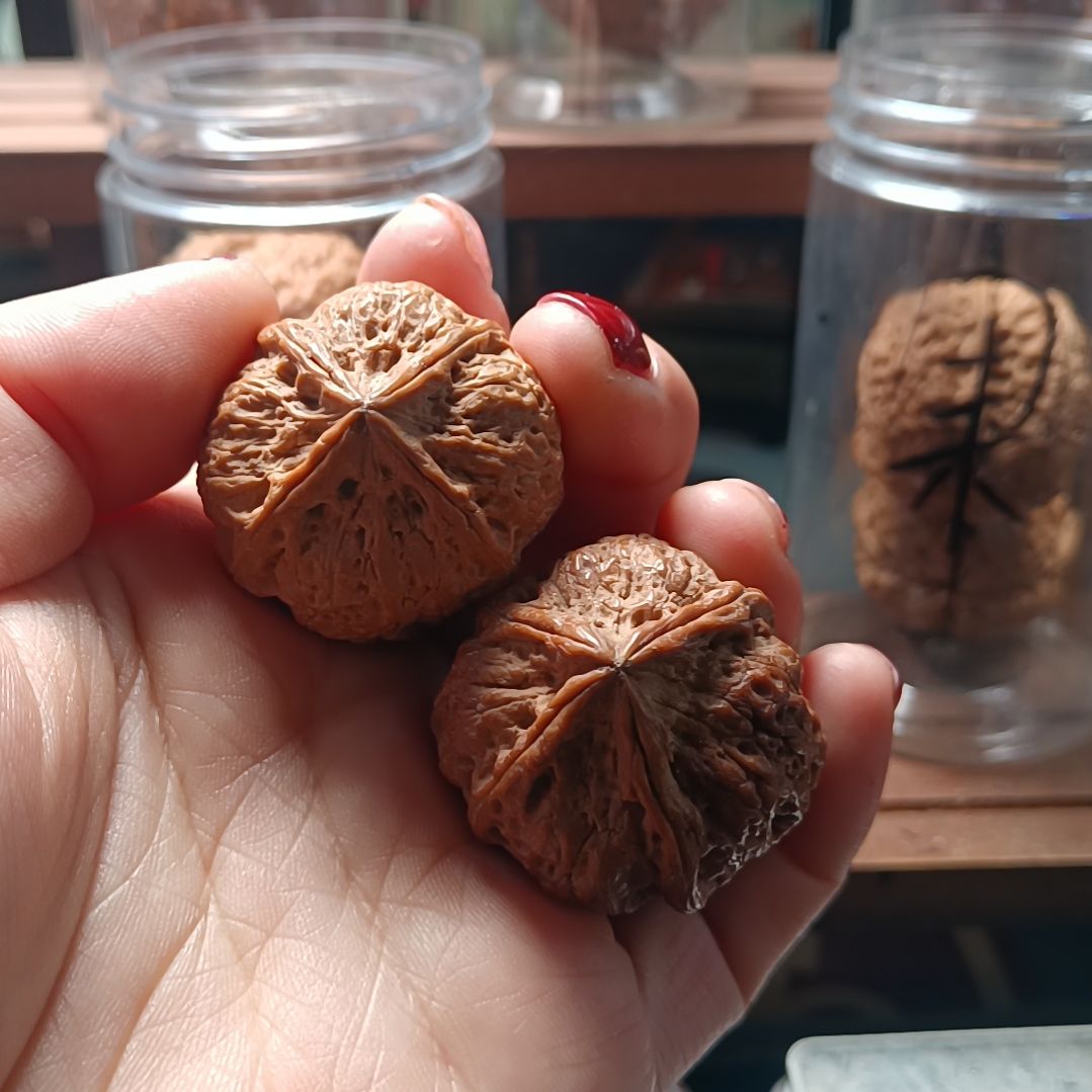 文玩核桃把件6666666666666666