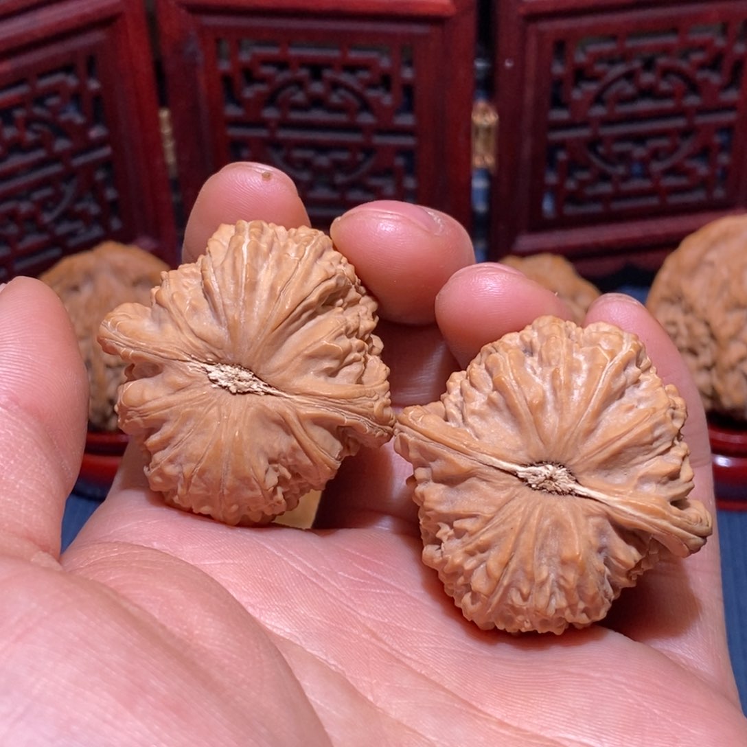 海****装40尺 球白 全品 推荐精配