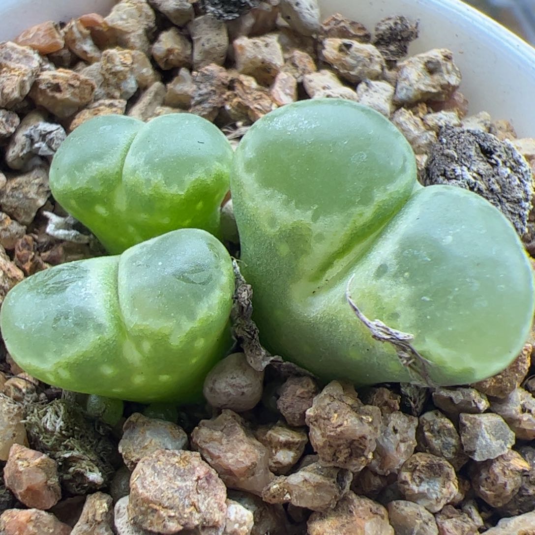 大家过年好22964