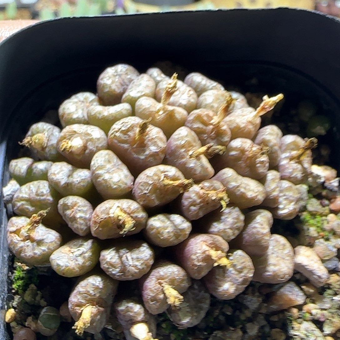 哈哈哈哈哈哈哈57823