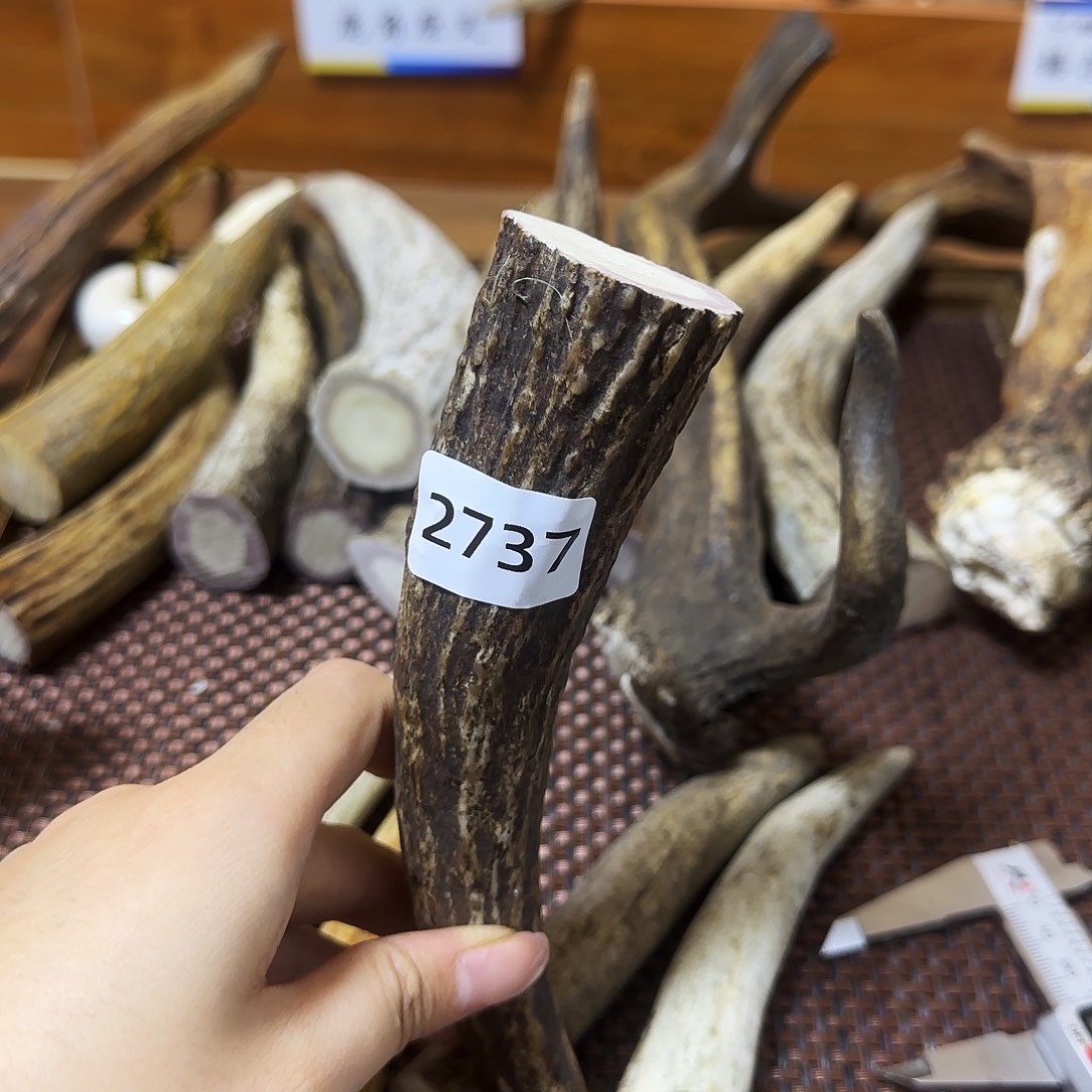 鹿骨手串/手链角尖2737