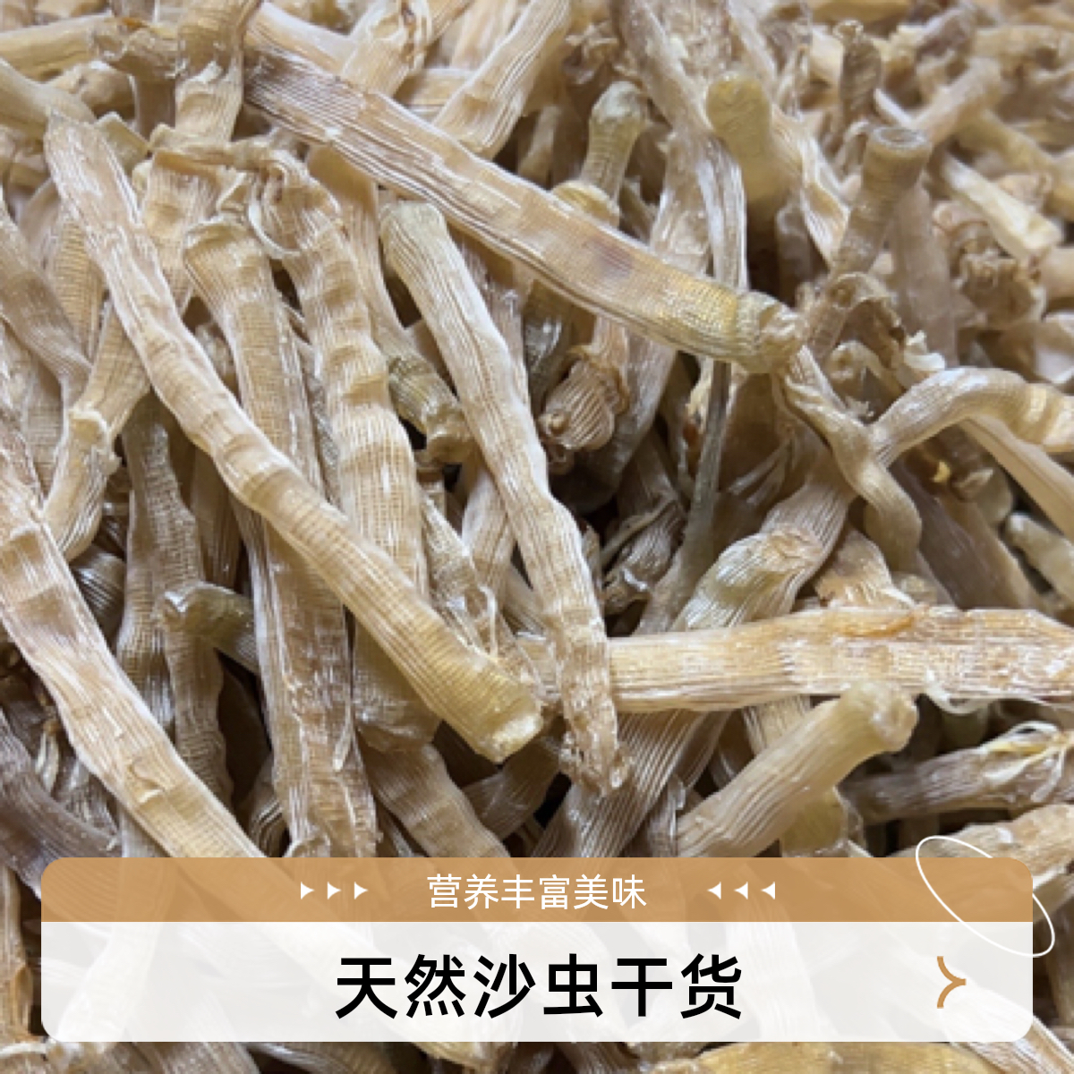 北海特产沙虫干滋补营养煮粥煲汤