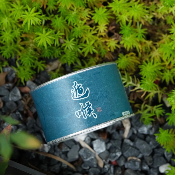 【遁喉】夷山觅叶桐木关麻粟遁喉老丛红茶50克