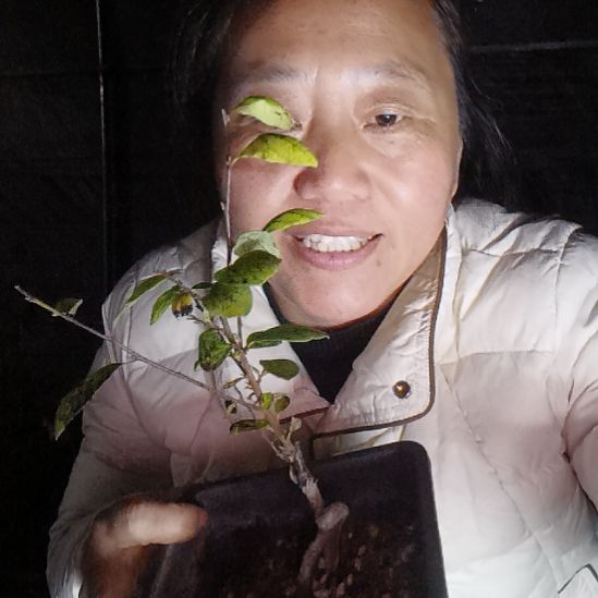 老***哥无花朵126655569989