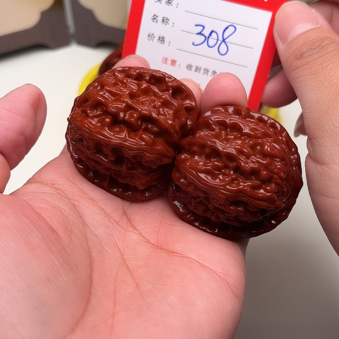 308  41尺。 白狮子