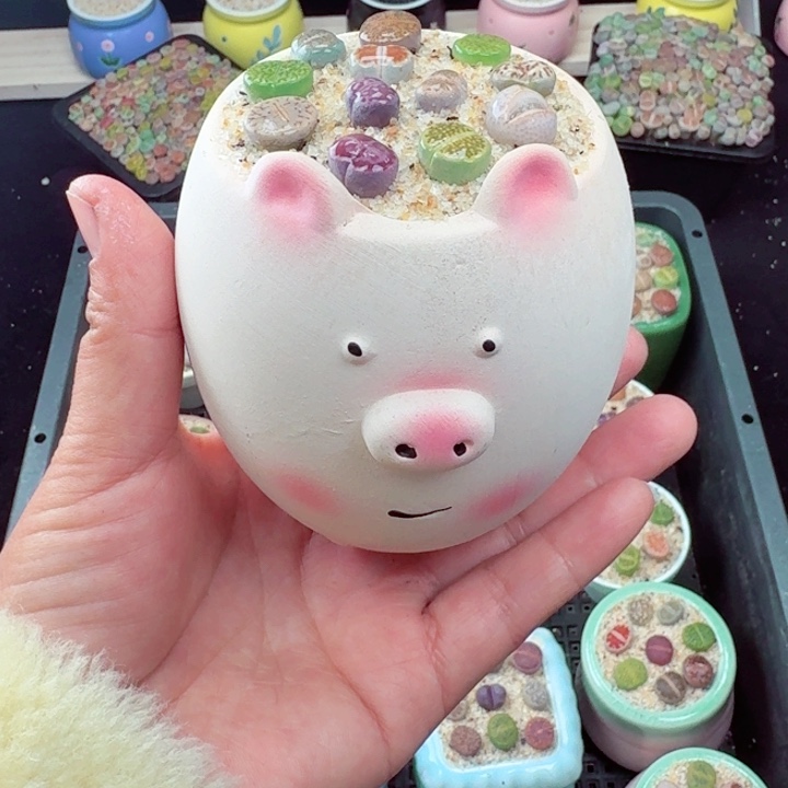 515零下地区记得拍保温箱