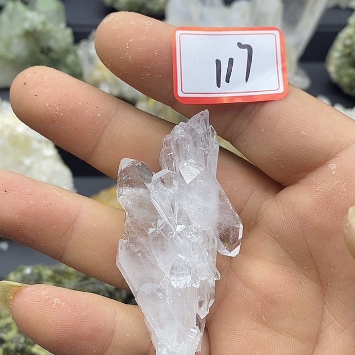 有机玻璃喜马缝合浮生簇117