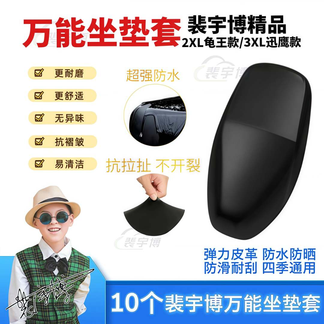【10个】裴宇博·加厚精品万能坐垫套  迅鹰/龟王款