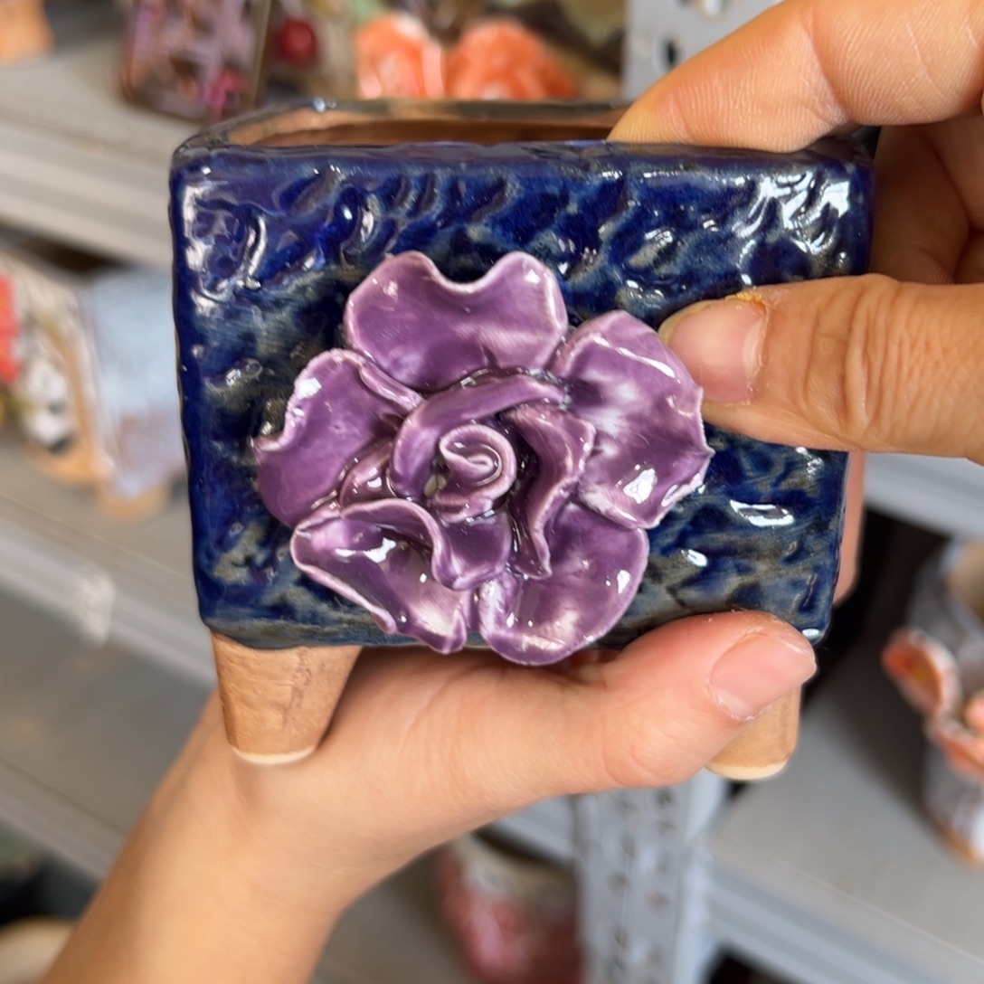 多肉花盆，满20发货爱退款拉黑