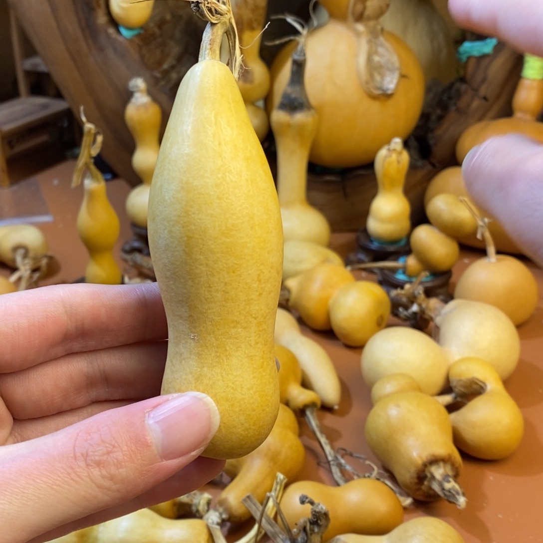 我***ꪝ教练教练教练经理