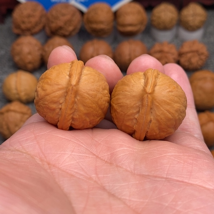 文玩核桃把件…………