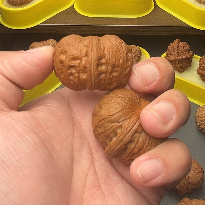 核桃42尺精配矮桩满肉毕业元宝