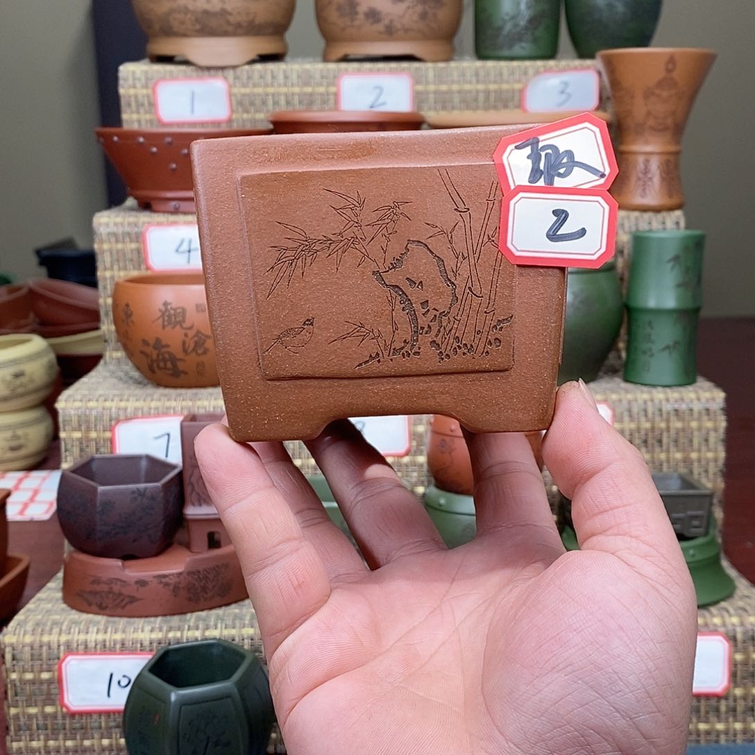 紫砂花盆我在等一