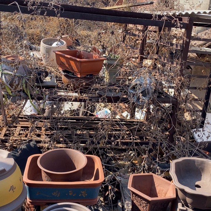 红陶这是一个很不错哦，紫砂