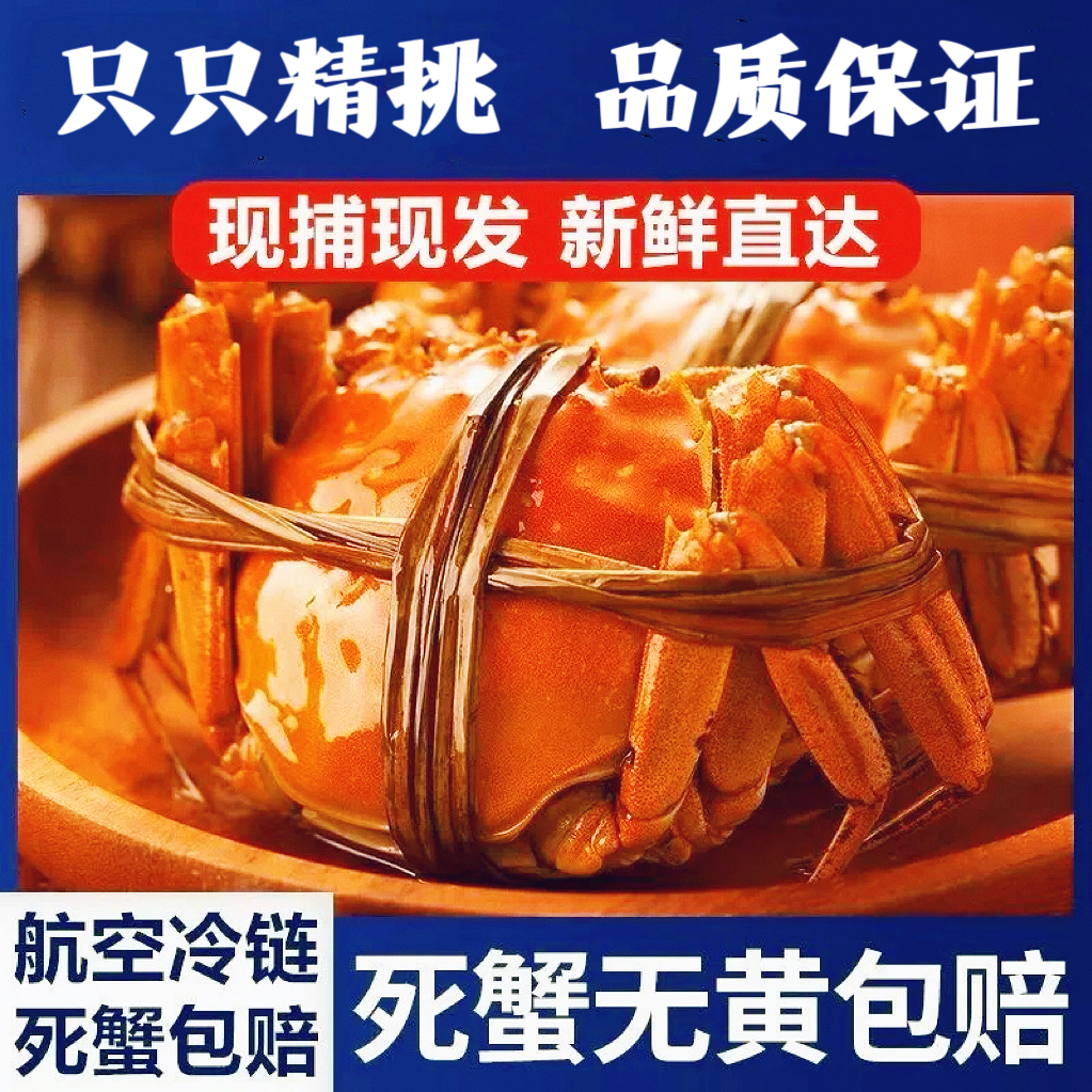 【活蟹】螃蟹河蟹 （3两2-3两5）河蟹母蟹8只 礼盒包装 顺丰发